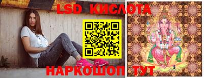 альфа пвп Новодвинск