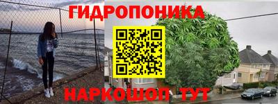 альфа пвп Новодвинск