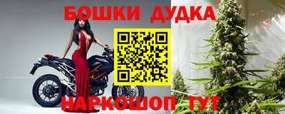 тгк Новозыбков