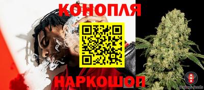 тгк Новозыбков