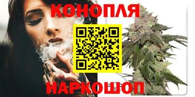 МДПВ Новокубанск