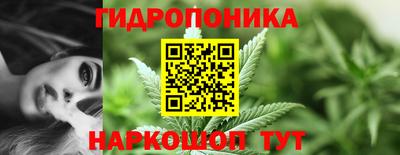 тгк Новозыбков