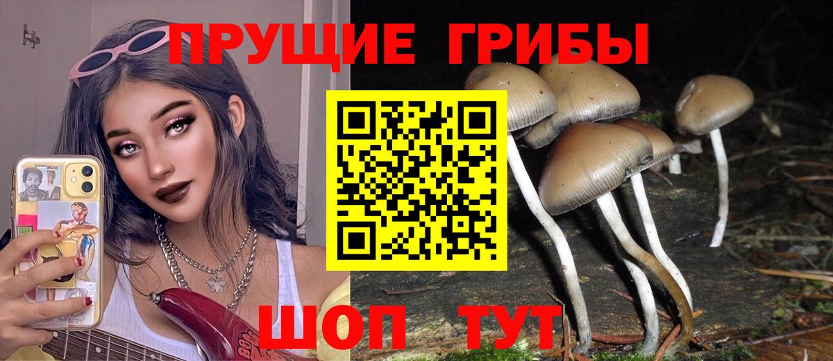 как найти наркотики  Псилоцибиновые грибы ЛСД  Вход с VPN  Тавда 